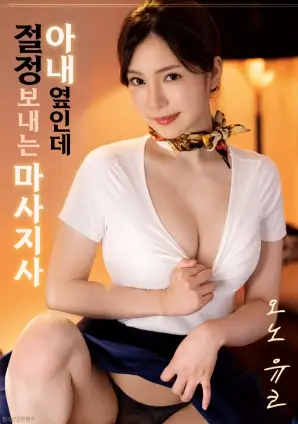 条目字段示例 剧情分区贴纸样本